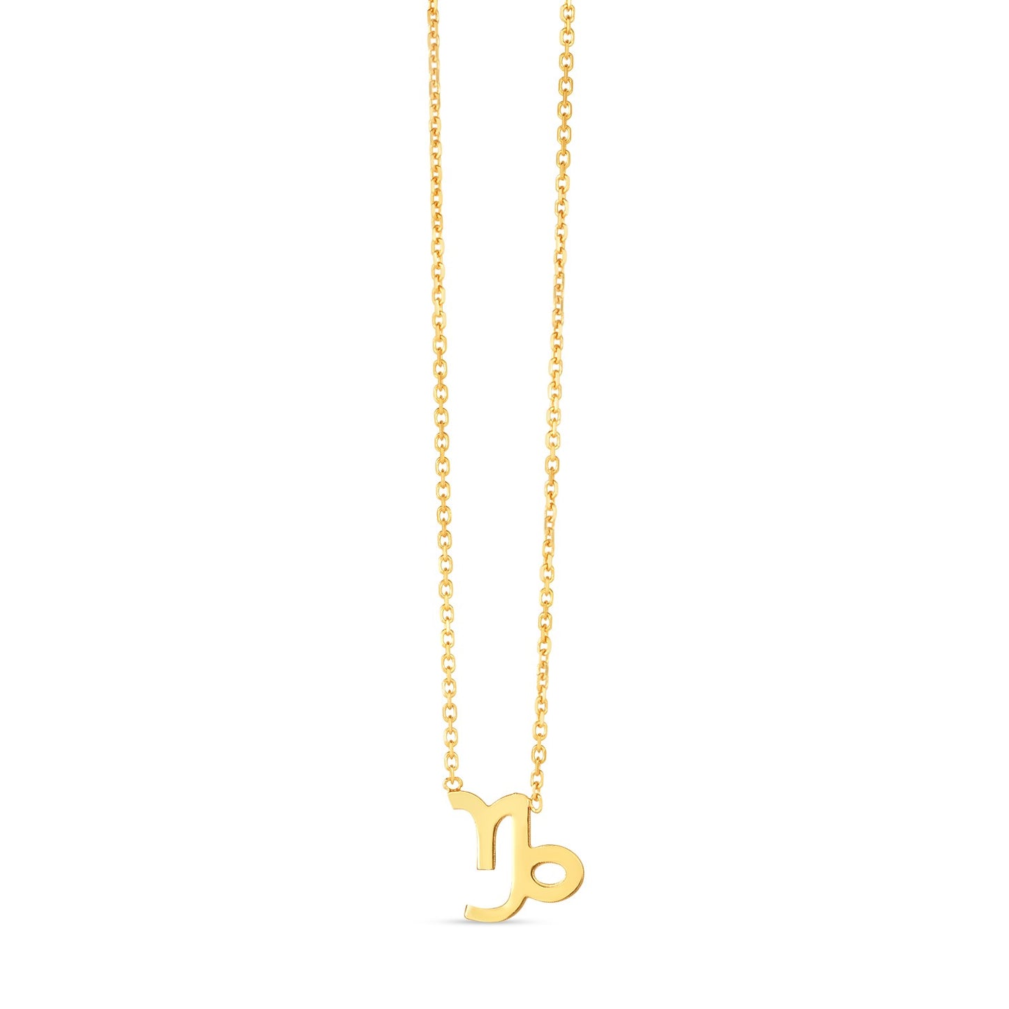 14K Yellow Gold Capricorn Necklace - The Best Accessory