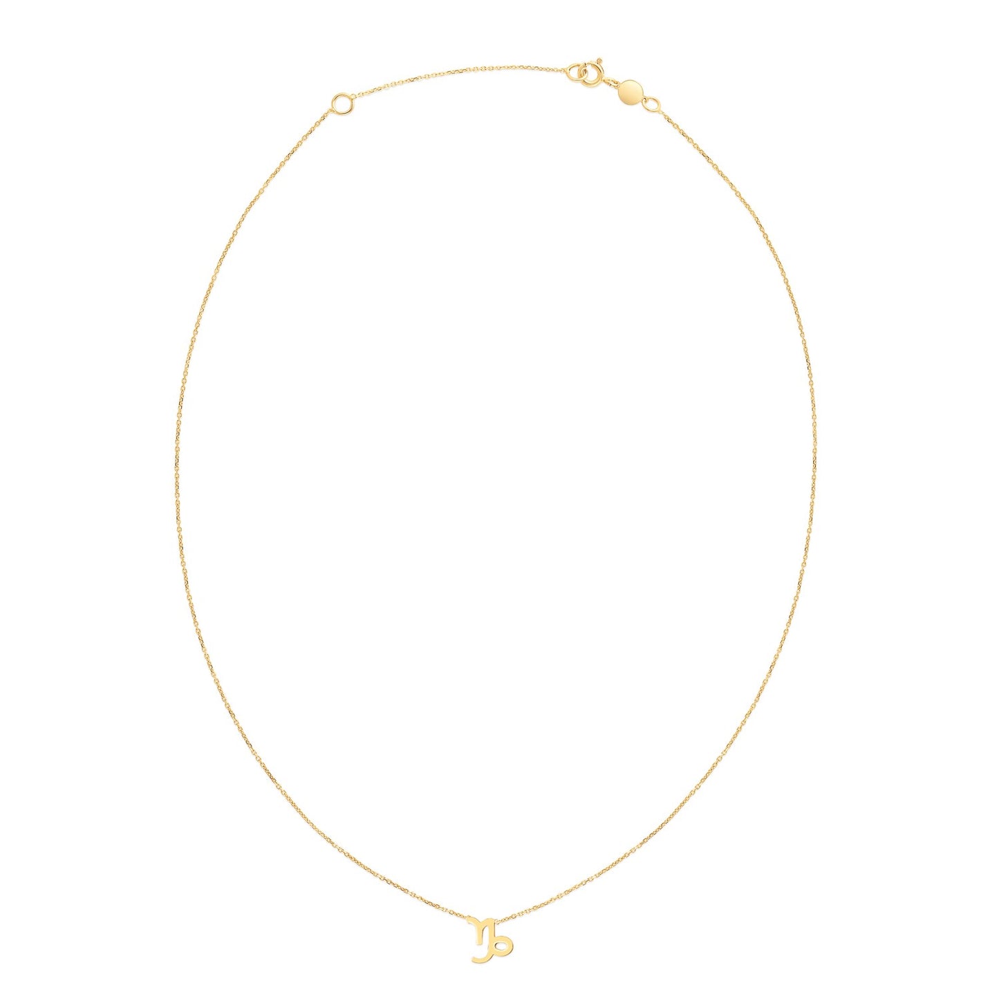 14K Yellow Gold Capricorn Necklace - The Best Accessory