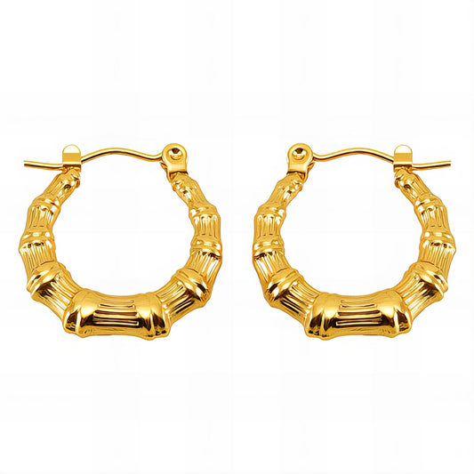 18K Gold Plated Stainless Steel Hoop Earrings, Intensity - The Best Accessory