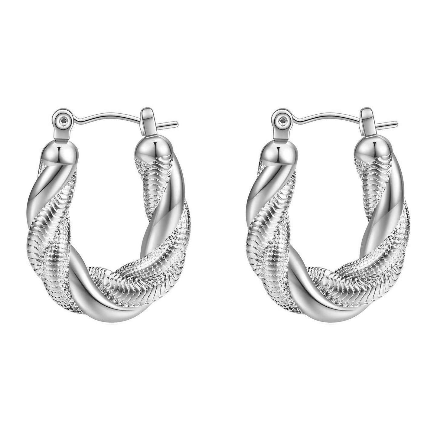 Stainless Steel Hoop  Earrings, Intensity
