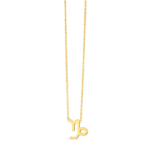 14K Yellow Gold Capricorn Necklace - The Best Accessory