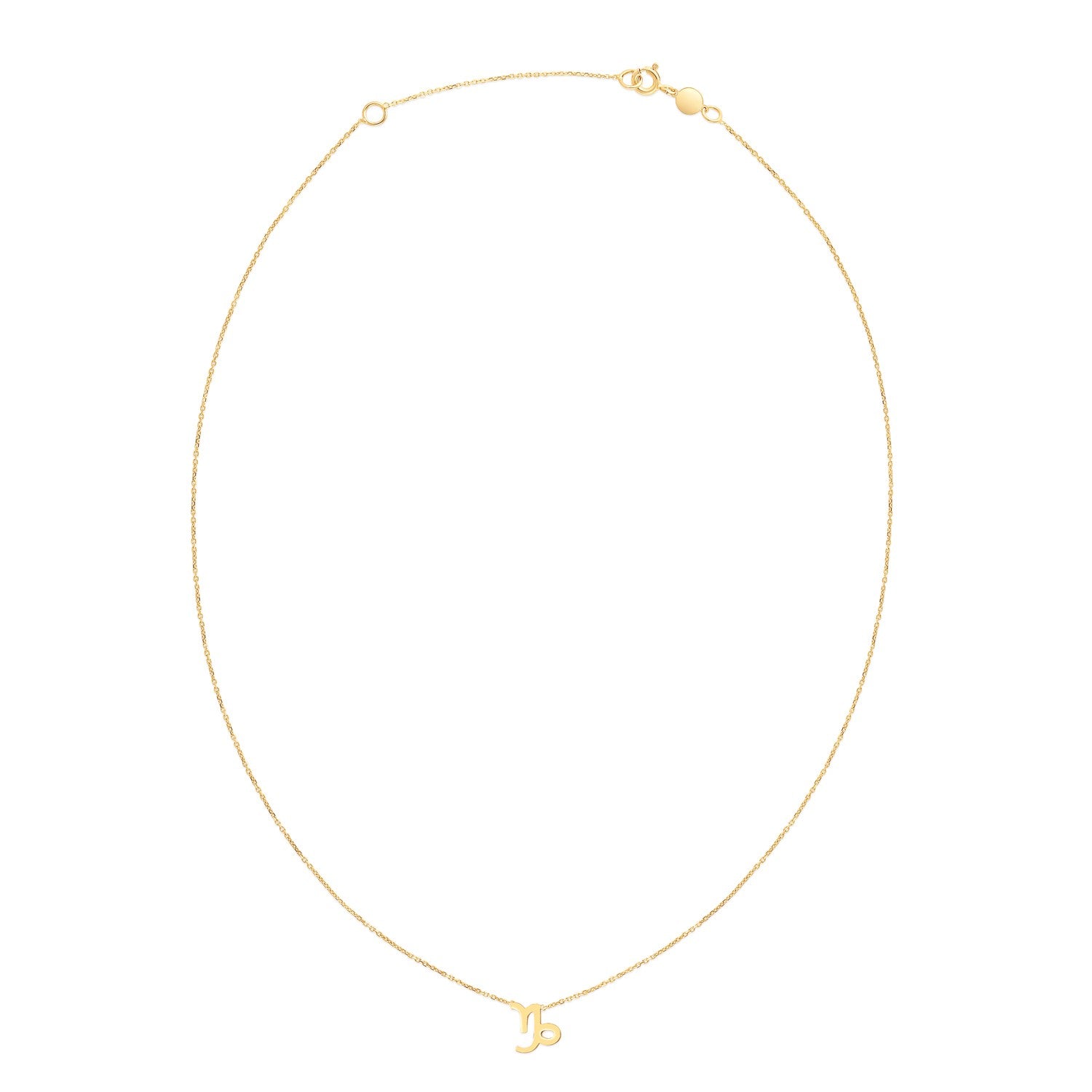 14K Yellow Gold Capricorn Necklace - The Best Accessory